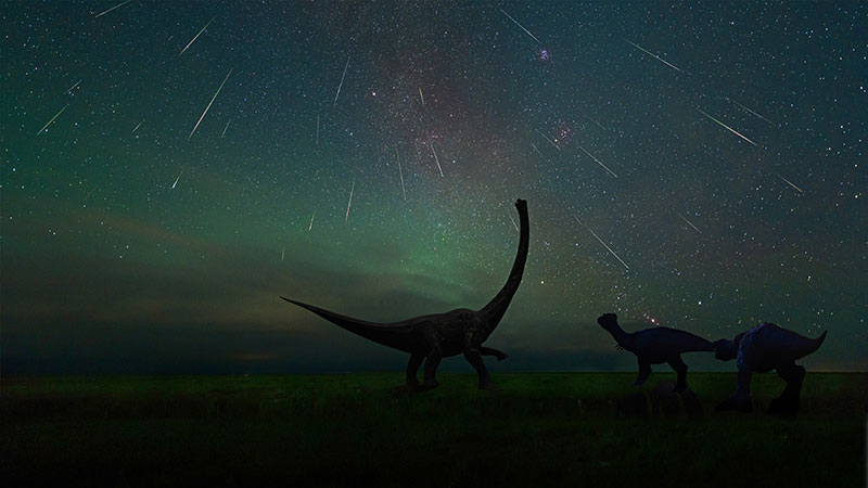 二连浩特恐龙博物馆中的英仙座流星雨