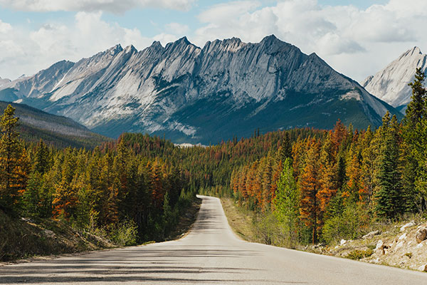 加拿大贾斯珀国家公园森林公路