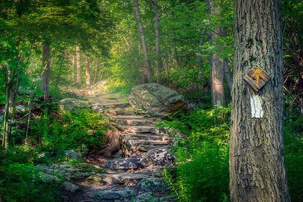 阿巴拉契亚国家步道