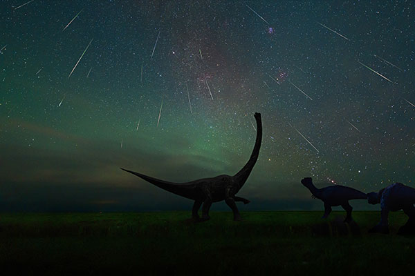 二连浩特恐龙博物馆中的英仙座流星雨