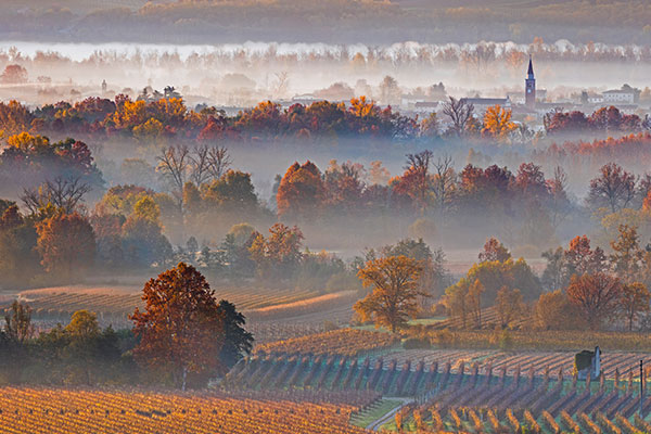 世界著名气泡酒产地普罗塞克山丘