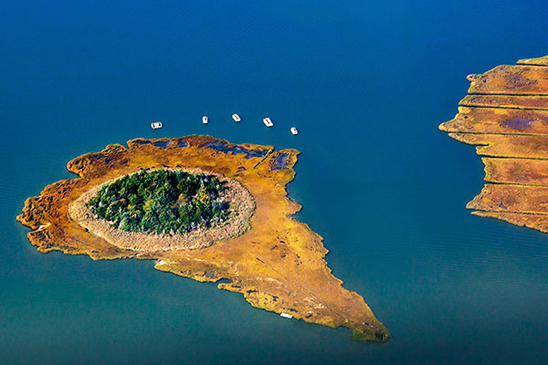 莫尼博克湾的芦苇岛