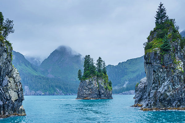 基奈峡湾国家公园的尖顶湾