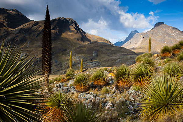 秘鲁布兰卡山脉