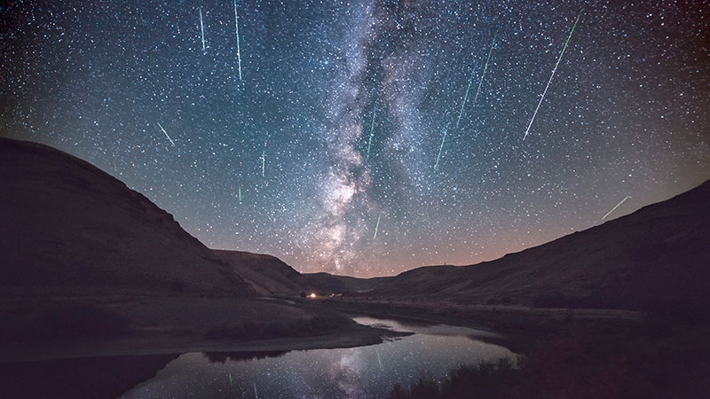 白杨木峡谷州立公园英仙座流星雨