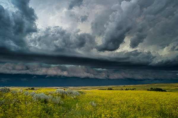 雷雨下的西奥多罗斯福国家公园