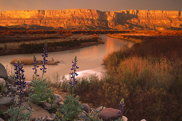 奇瓦瓦沙漠中的一处偏远绿洲