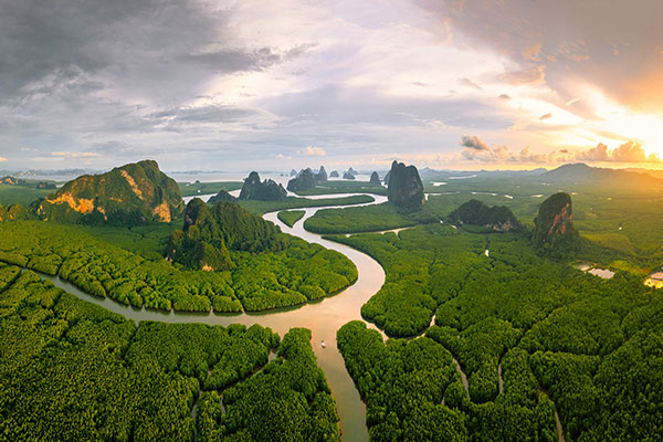 攀牙湾安达曼海的红树林