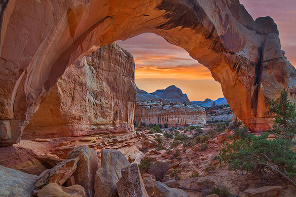 圆顶礁国家公园里的希克曼桥