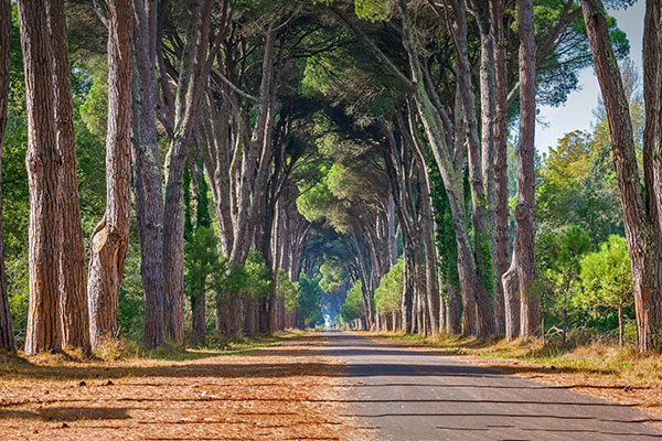 米利亚里诺自然公园