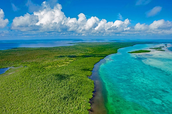 伯利兹堡礁保护区