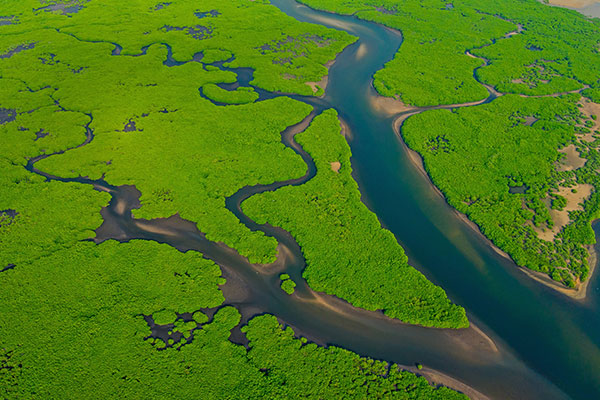 匆匆而逝的亚马逊河