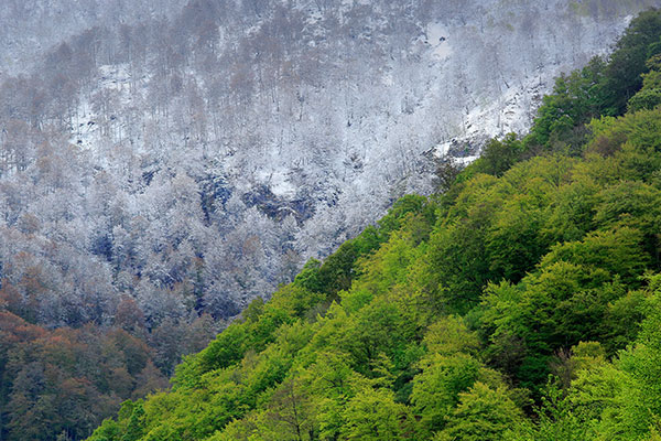 西班牙穆涅略斯自然保护区