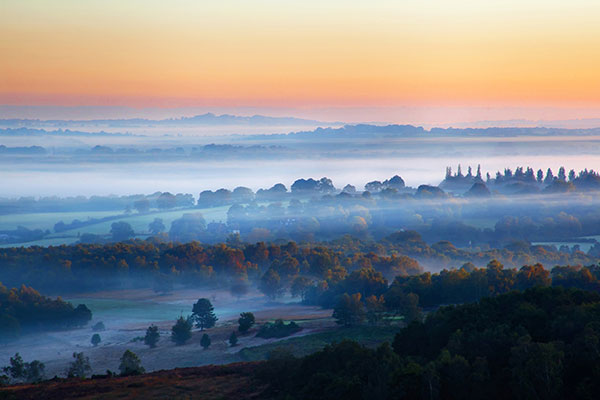 亚士顿森林薄雾日出