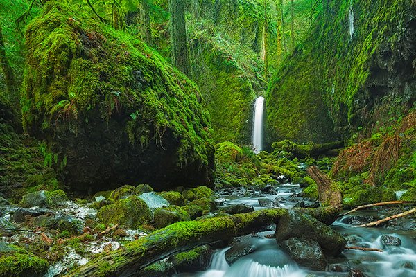 哥伦比亚河峡谷隐秘的瀑布