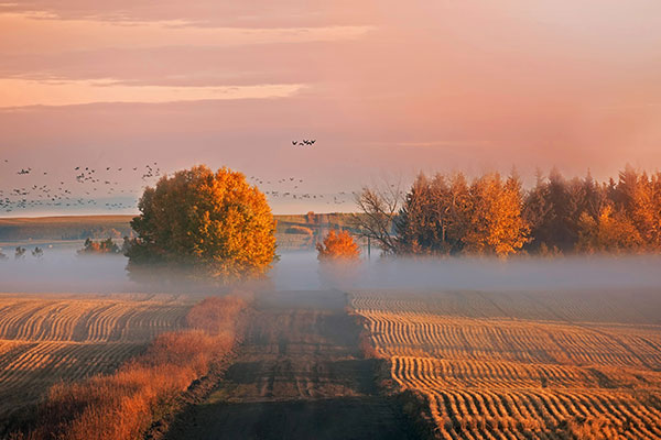 加拿大阿尔伯塔的日出