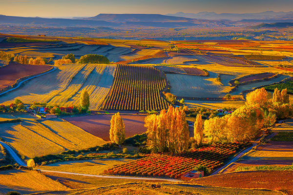 班牙里奥哈区克拉维霍镇秋日景色