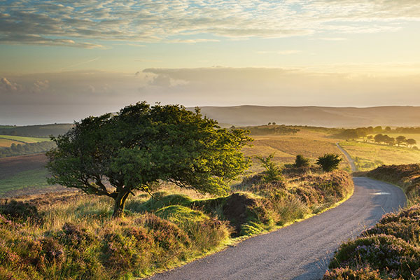 埃克斯穆尔国家公园斯托克佩罗公地