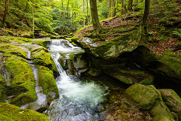 卡茨基尔山脉溪水潺潺