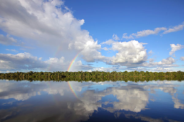 亚马逊河流域内格罗河