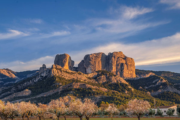 埃尔斯港自然公园奇特的山峰
