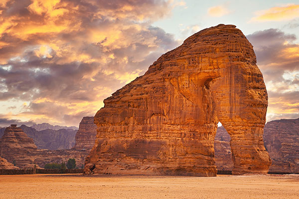 温柔的沙丘巨人大象岩