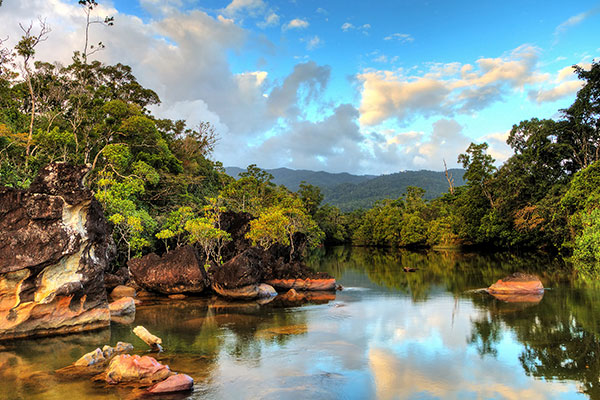 马达加斯加的马苏阿拉国家公园