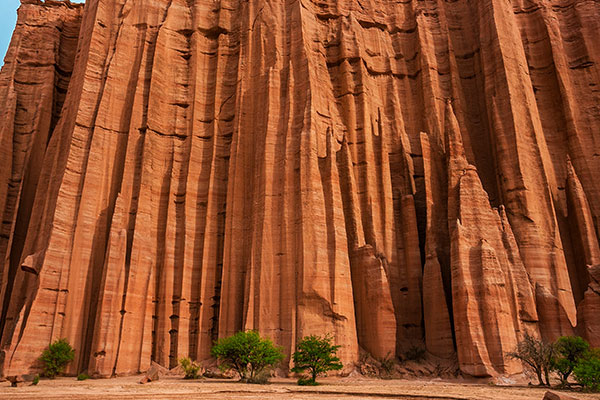 阿根廷拉里奥哈省塔兰帕亚国家公园