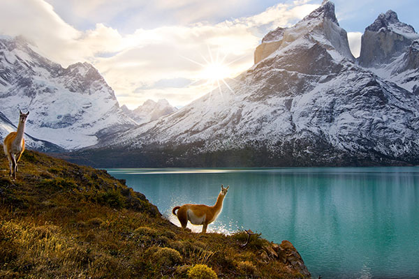 托雷斯德尔帕恩国家公园