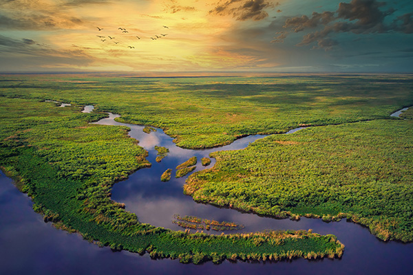 大沼泽地国家公园的鸟瞰图