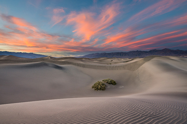 死亡谷国家公园内的梅斯基特平原沙丘