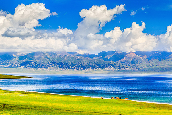 夏季的赛里木湖犹如天山上的蓝宝石