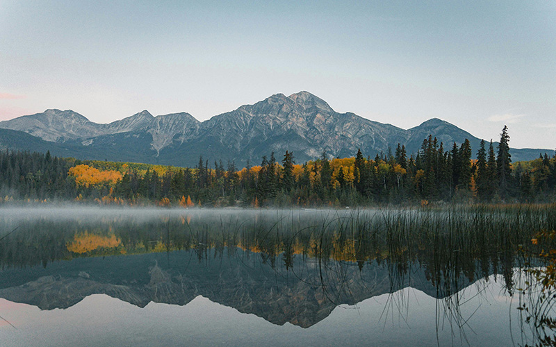 被树林环绕的静谧湖泊
