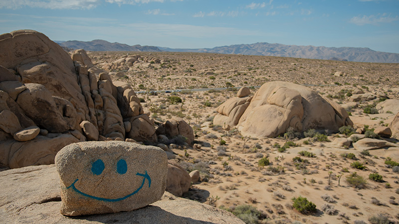 约书亚树国家公园里的笑脸