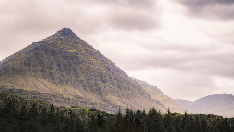 雾天里一座山与森林