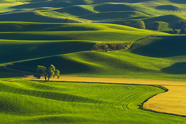 帕卢斯连绵起伏的丘陵