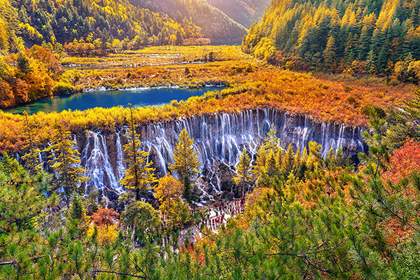 秋季九寨沟国家公园里的诺日朗瀑布