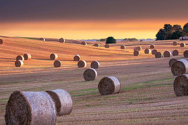 阳光明媚的北约克郡
