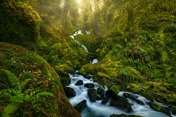 奥林匹克国家公园的瀑布