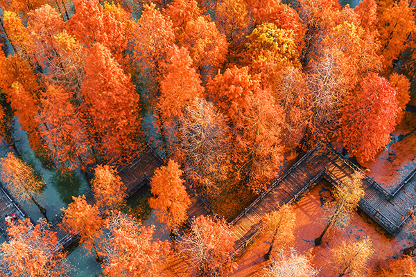 航拍江苏省常州翠竹公园