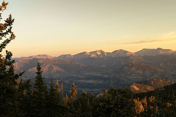 夕阳西下山脉中的松树