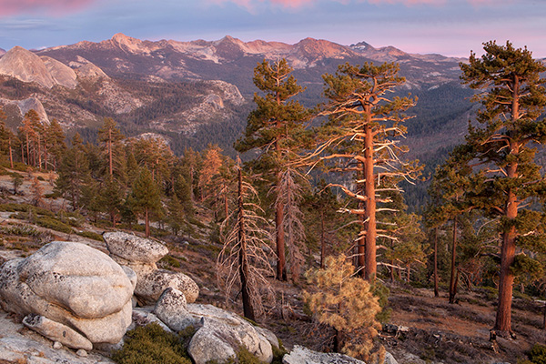 约塞米蒂国家公园克拉克山脉