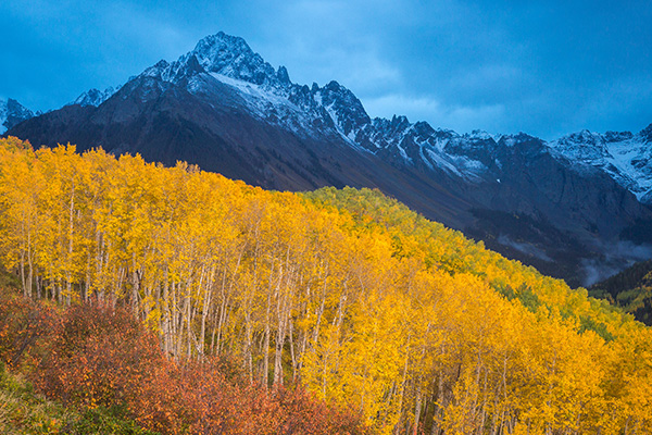 里奇韦附近斯内弗尔斯山脚下的秋色