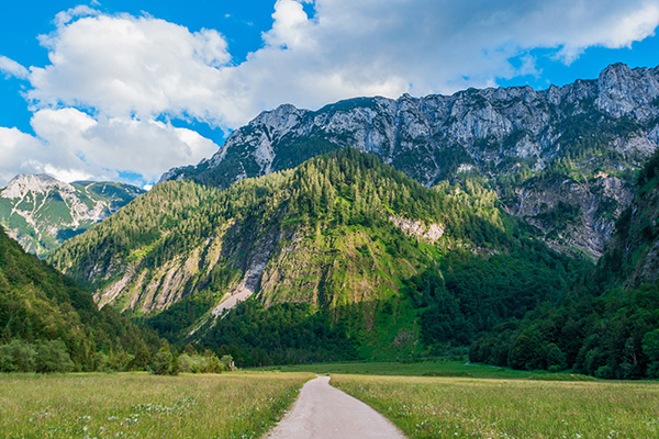 奥地利山区的一条小径