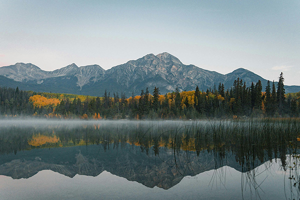 被树林环绕的静谧湖泊